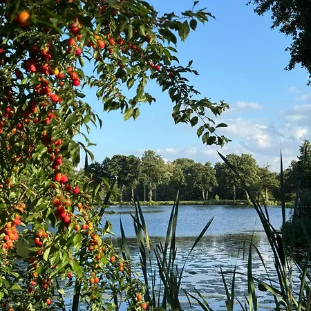 Amber Coast Nr 2 Jantar