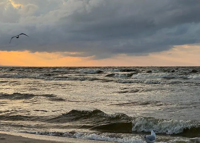 Amber Coast Nr 2 Дом отдыха