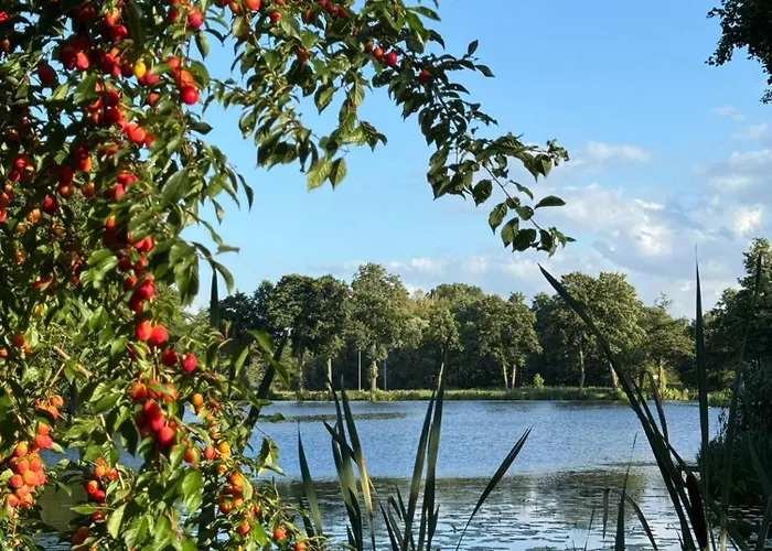 Amber Coast Nr 2 Янтар